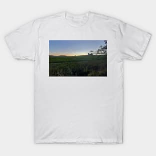 Sunset over the field T-Shirt